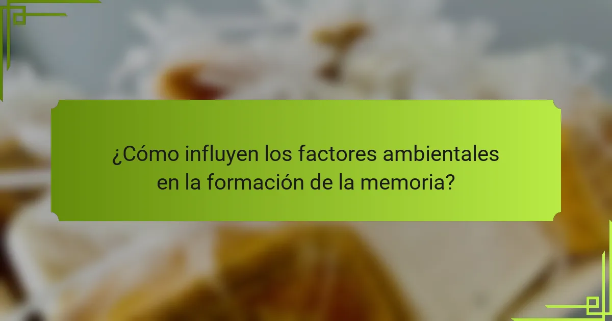 ¿Cómo influyen los factores ambientales en la formación de la memoria?