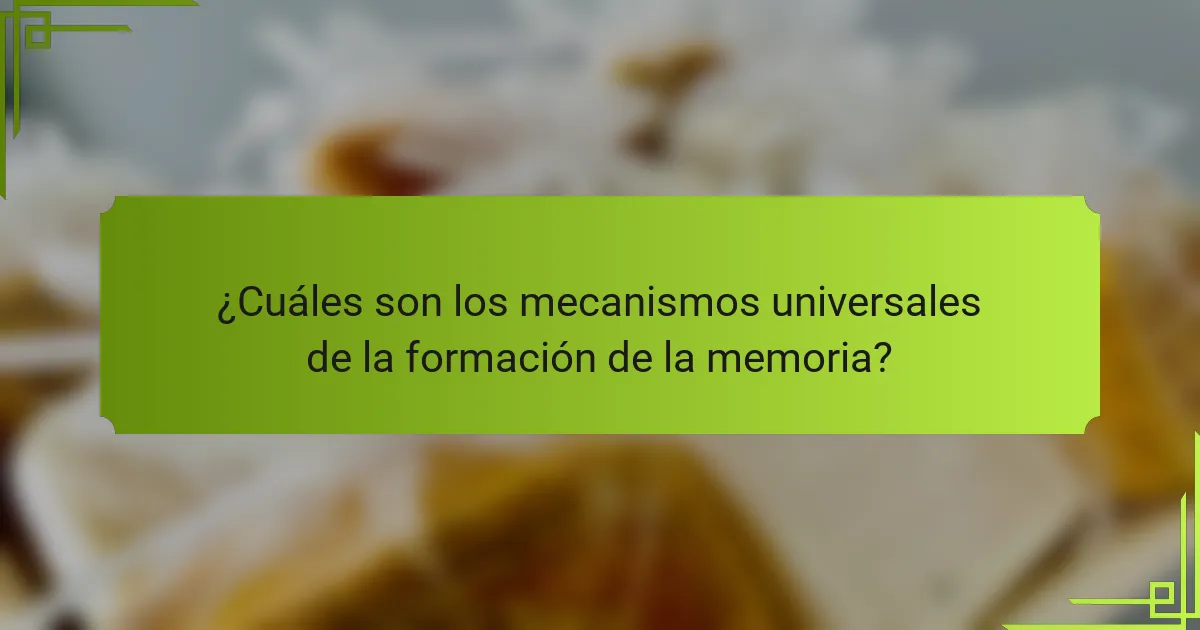 ¿Cuáles son los mecanismos universales de la formación de la memoria?