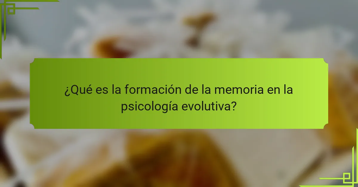 ¿Qué es la formación de la memoria en la psicología evolutiva?